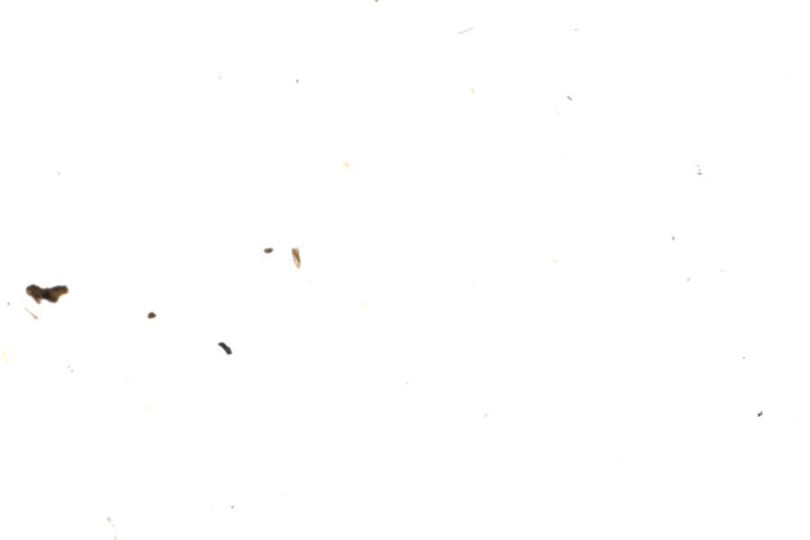 Image 61